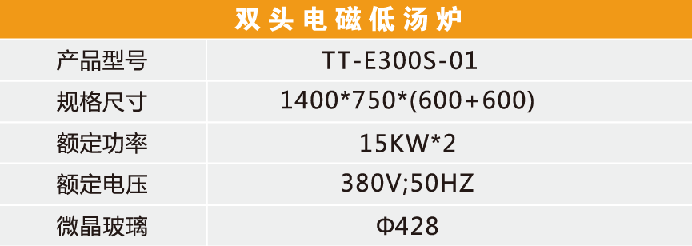 雙頭電磁低湯爐-1.png